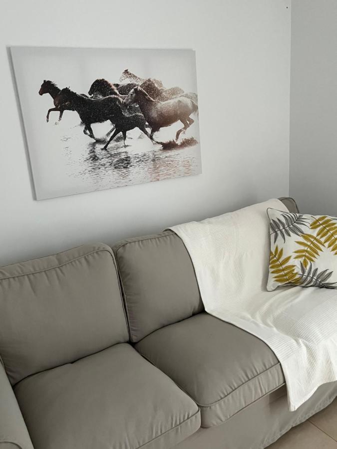 Sherry Suites VI Apartamentos Parking Gratuito Jerez de la Frontera Luaran gambar